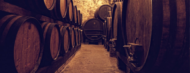 Cellar full of wine barrels.