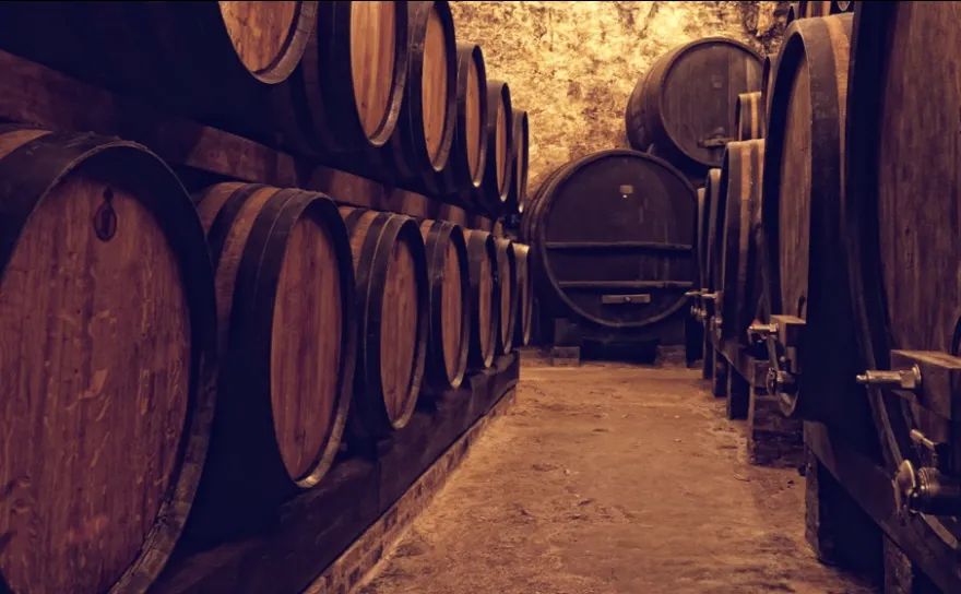 Cellar full of wine barrels.