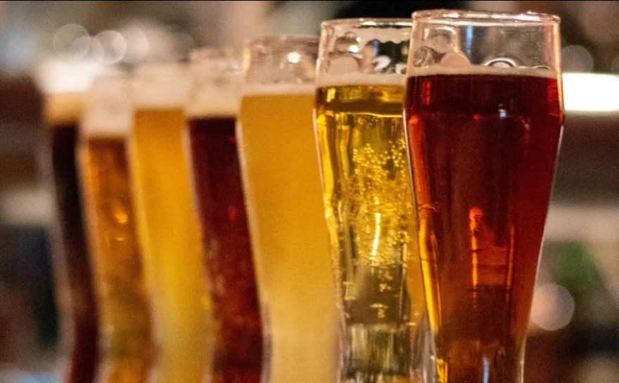 lineup of glasses containing irish style beer