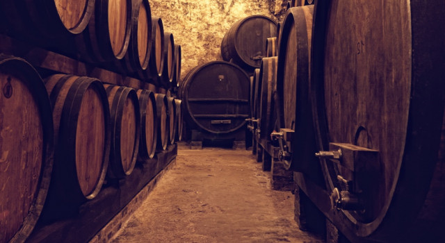 Cellar full of wine barrels.